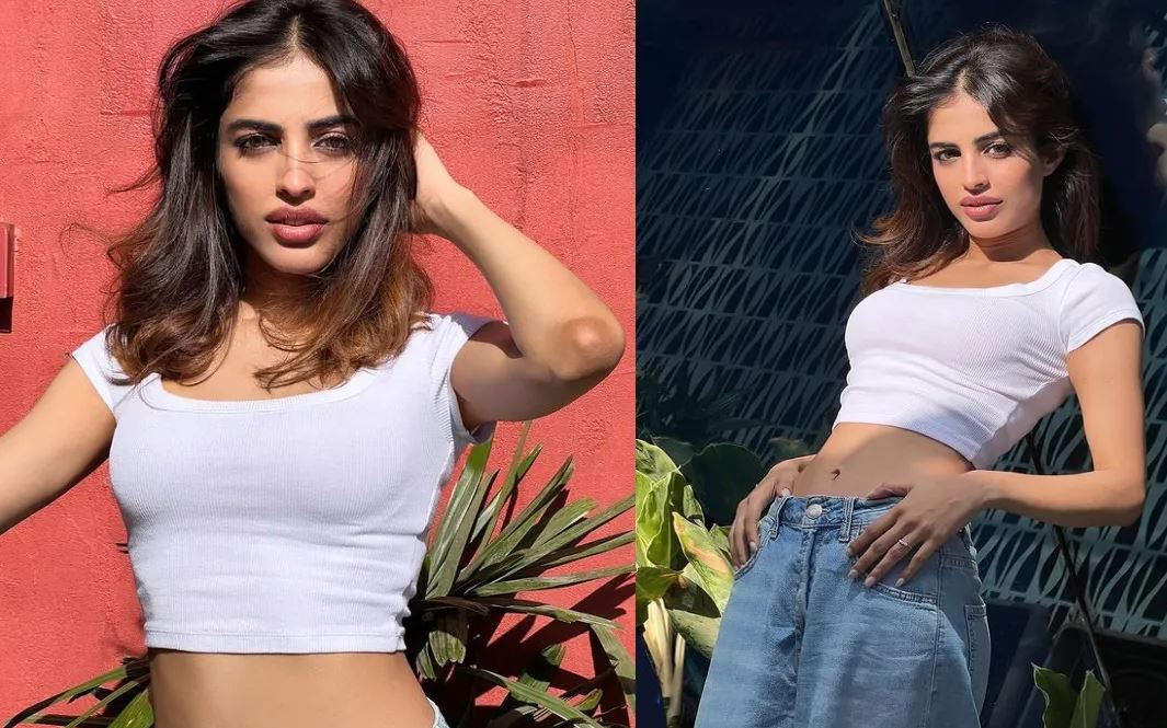 Priya Banerjee Hot Pic: Priya Banerjee’s latest hot photoshoot created a stir in the hearts of fans, see pictures