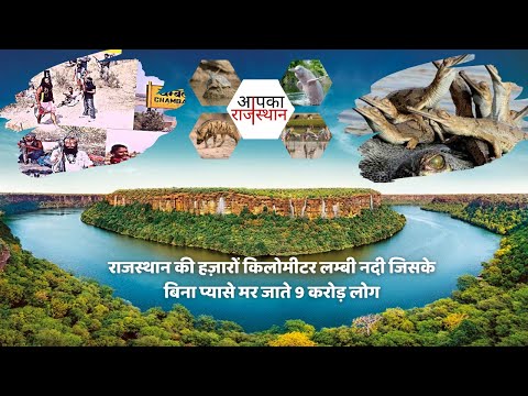 There is a strong connection of the curse of Chambal river with the book ‘Mahabharata’, know the stories and history of this 960 kilometer long river in the video.